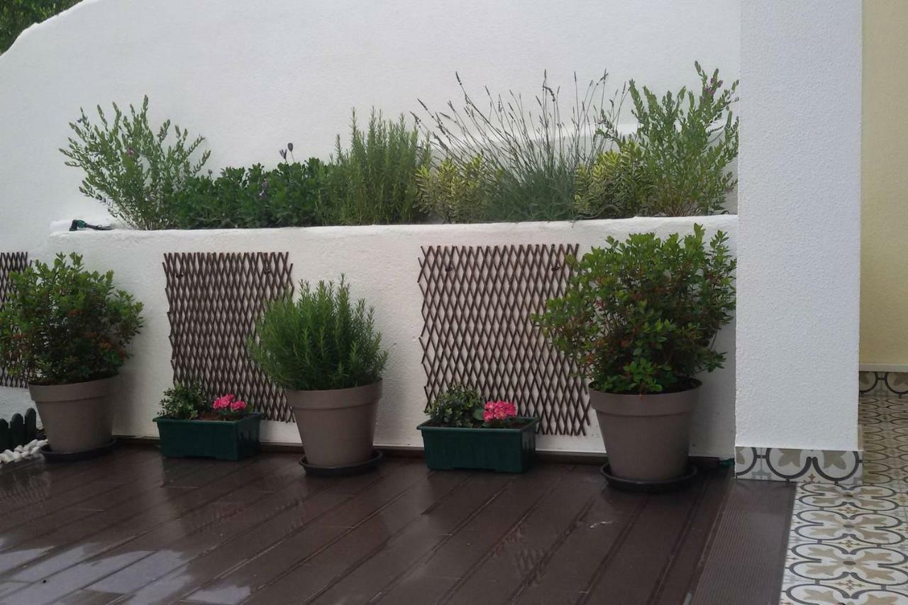 Sunny Orange Garden Apartment In Central Lisbon Lisboa Exterior foto