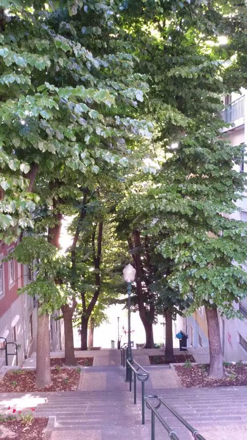 Sunny Orange Garden Apartment In Central Lisbon Lisboa Exterior foto