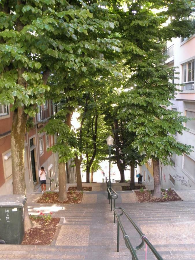 Sunny Orange Garden Apartment In Central Lisbon Lisboa Exterior foto